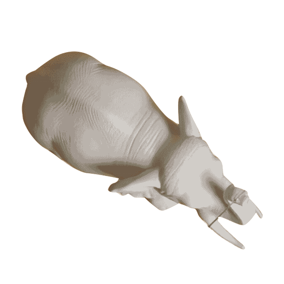 Ivory Stride Product