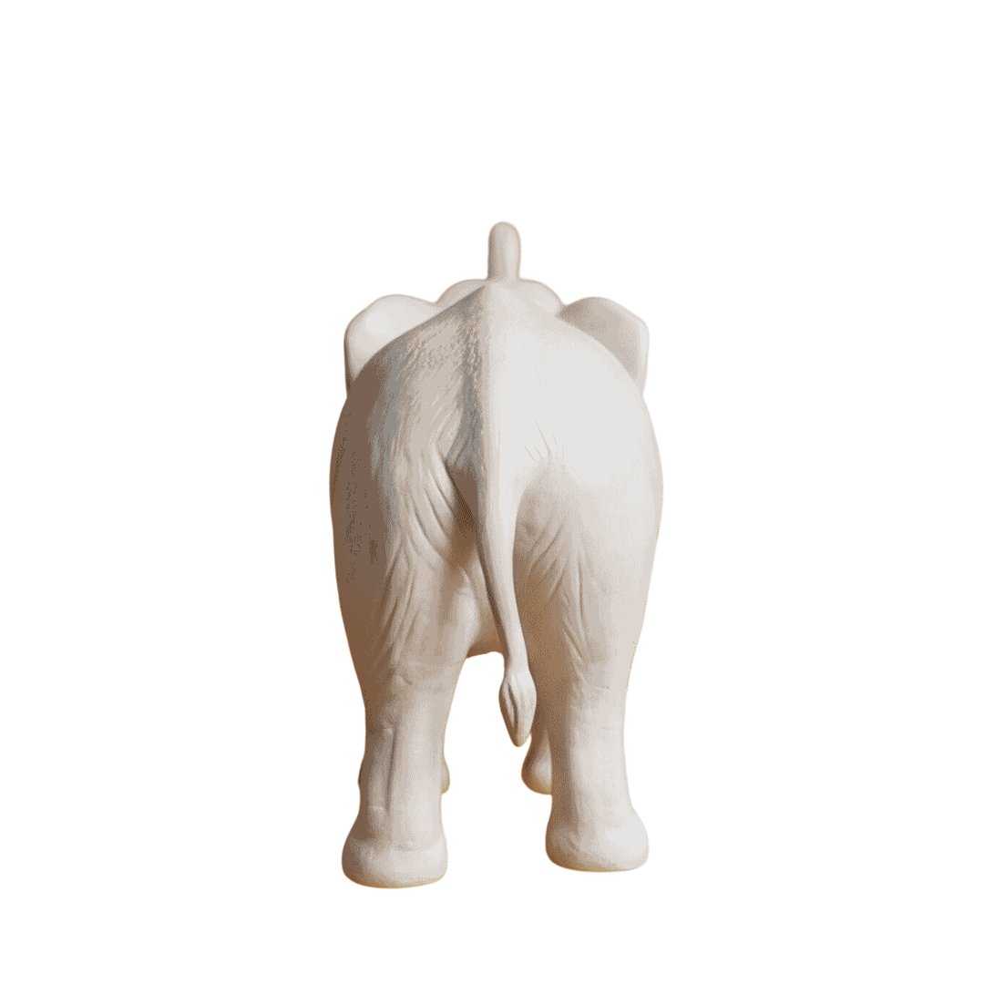 Ivory Stride Image